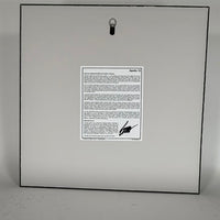 Custom artwork for Bob, Ap13-Lousma