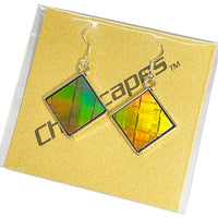 Item063: Silicon Wafer Computer Chip Earrings -  Silver, Green & Rainbow Colors (large)