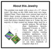 Item063: Silicon Wafer Computer Chip Earrings -  Silver, Green & Rainbow Colors (large)