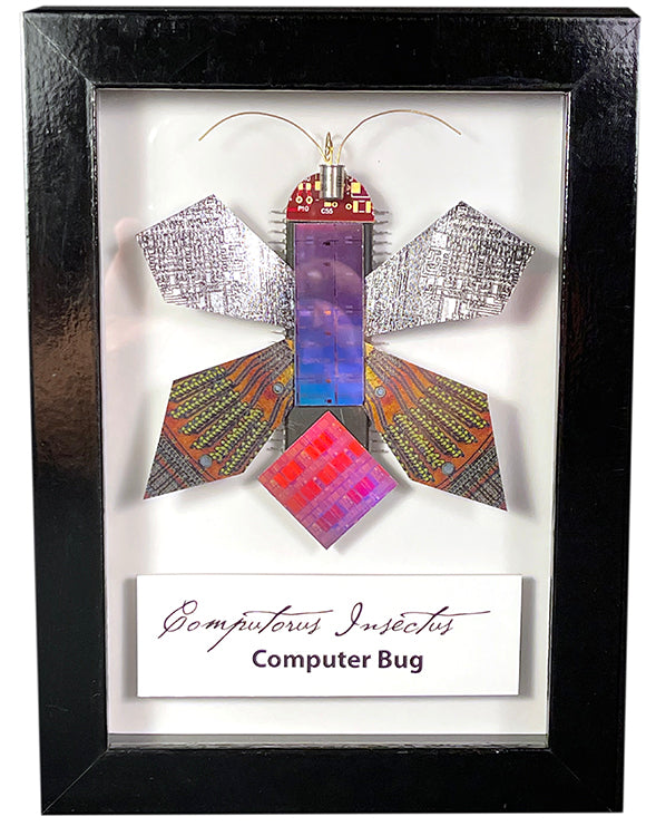 Computer Bug, "The Firefly"