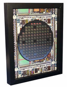 Silicon Wafer with Microprocessor Chips - 6 inch